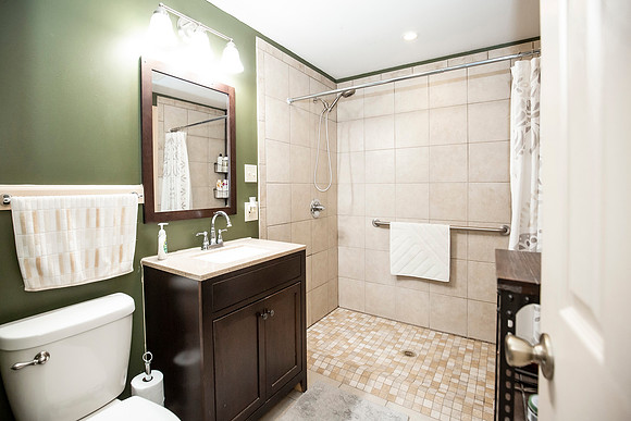 Lower level bathroom