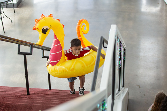 DJPH5081